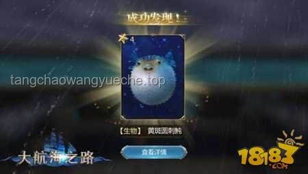 **星辰鱼宝逆袭记：3S级机娘为何被嫌弃，又如何闪耀？✨**