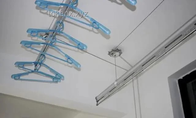 长姐如母：家庭中的隐形支柱